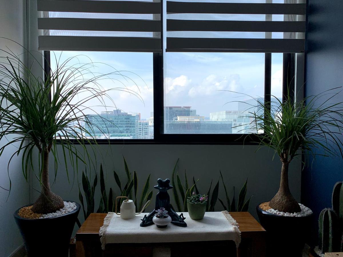 Blue Horse Apartment In New Polanco. Mexico City Ngoại thất bức ảnh