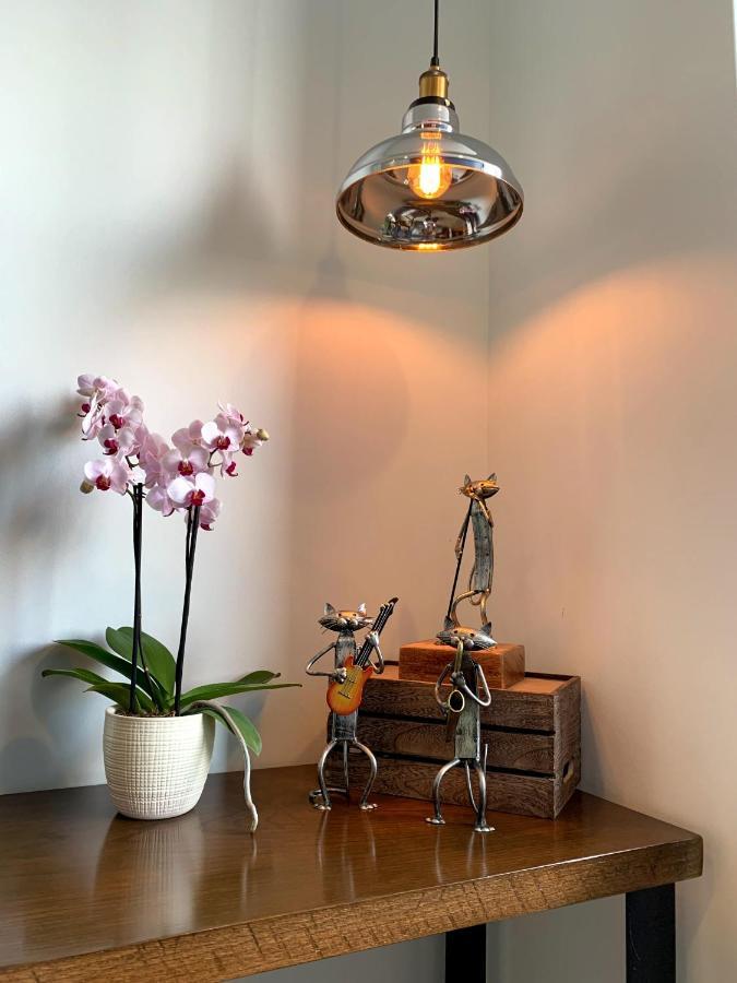 Blue Horse Apartment In New Polanco. Mexico City Ngoại thất bức ảnh